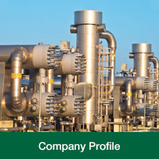 mds petrochemical company profile